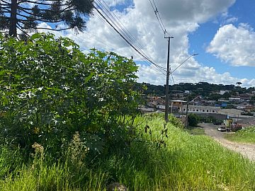 Ch�cara - Venda - Centro - Prudent�polis - PR